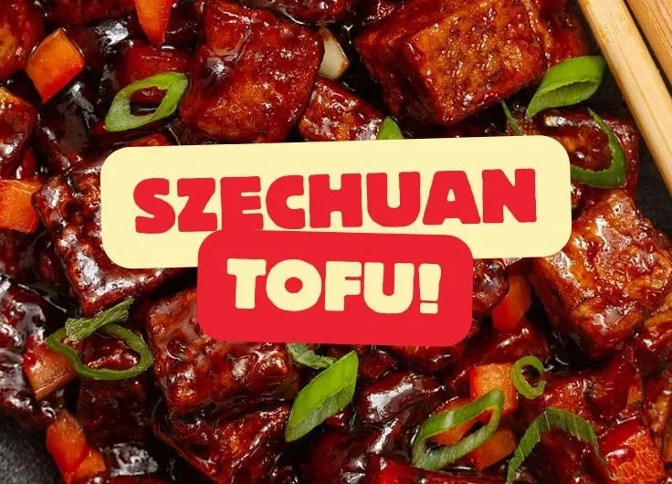 Delicious Szechuan Tofu dish garnished with green onions and spices