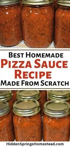 Homemade pizza sauce made with fresh Italian spices in a jar
