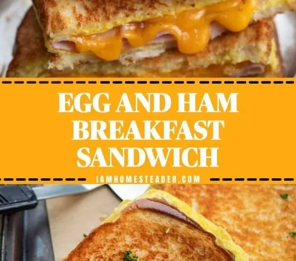 A delicious plate of egg and ham breakfast served with toast and vegetables.