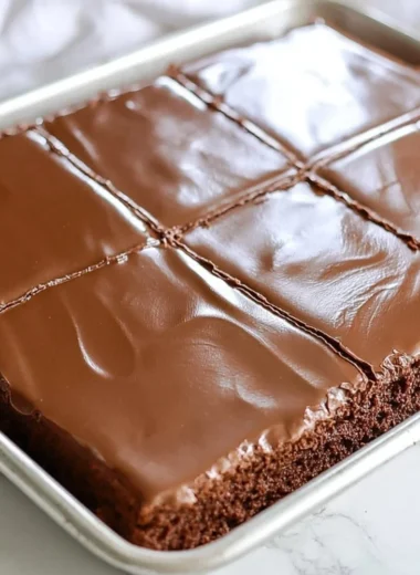 Cozy chocolate sheet cake baked for two, garnished with chocolate frosting.