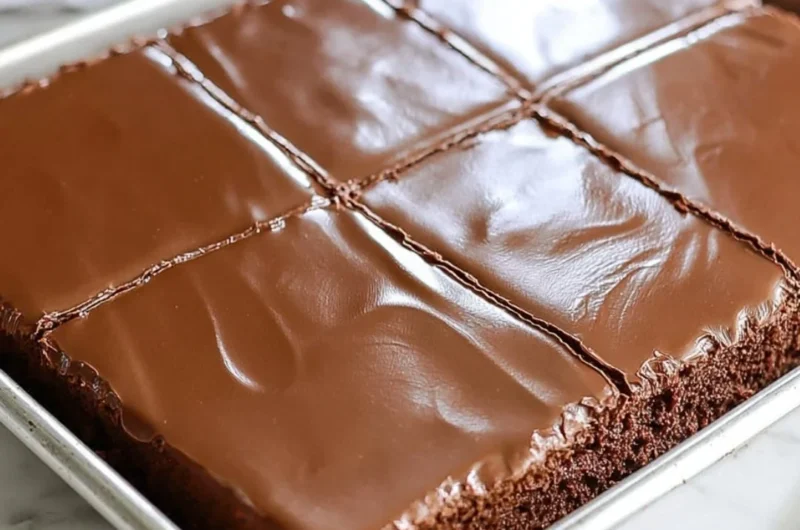 Cozy chocolate sheet cake baked for two, garnished with chocolate frosting.