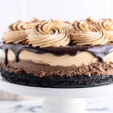 Delicious mocha cheesecake slice topped with chocolate and coffee garnish.