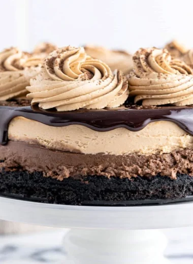 Delicious mocha cheesecake slice topped with chocolate and coffee garnish.