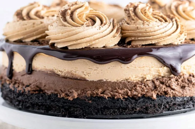Delicious mocha cheesecake slice topped with chocolate and coffee garnish.